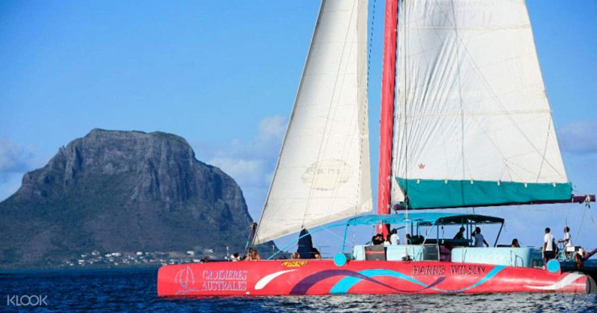 Catamaran Dolphin Cruise - Klook