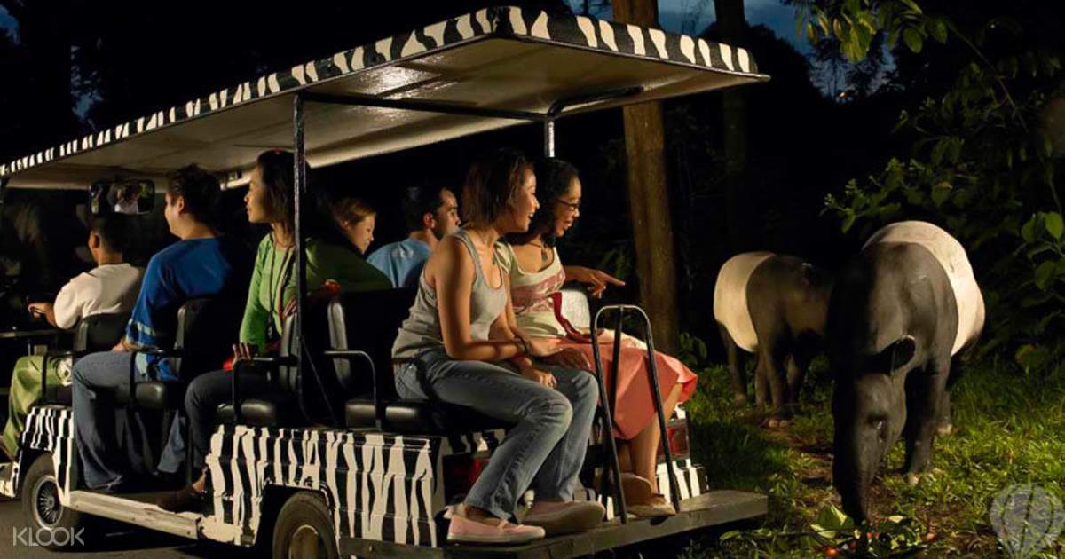 Night Safari Package Add Ons