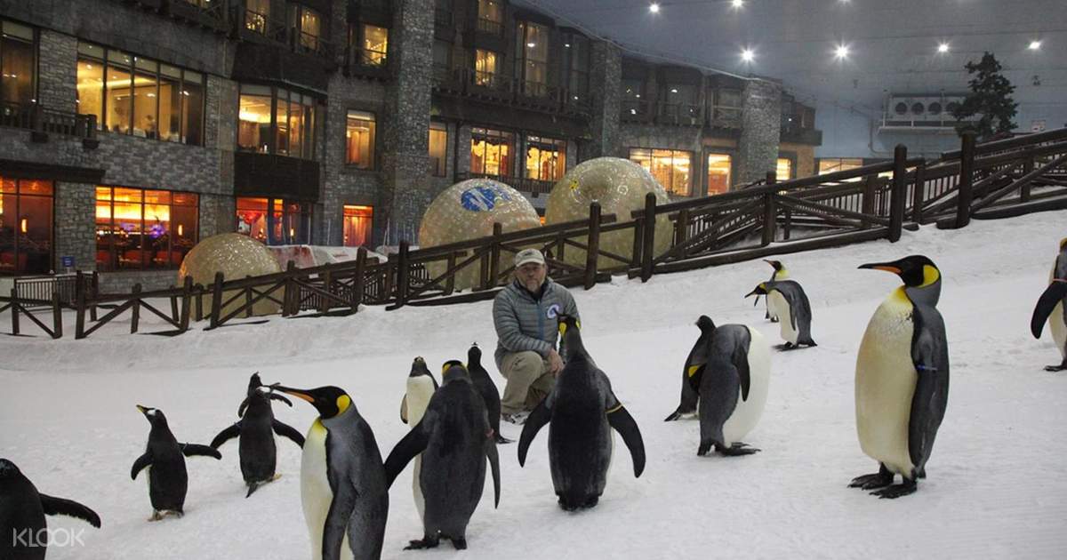 Ski dubai coupons