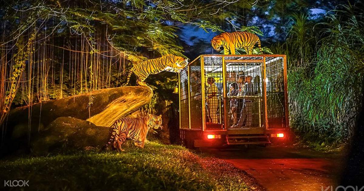 Book Bali Safari and Marine Park Tour