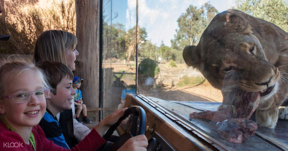Werribee zoo discount coupon Der Knarrenkasten ist im Handwerkeralltag unabkömmlich und stellt einen bedeutsamen Teil der Basisausstattung dar. Es gibt fortlaufend beliebige Maschinenbauschrauben die gelöst werden sollten, weswegen dieses Steckschlüsselsortimet auf keinen Fall fehlen sollte.