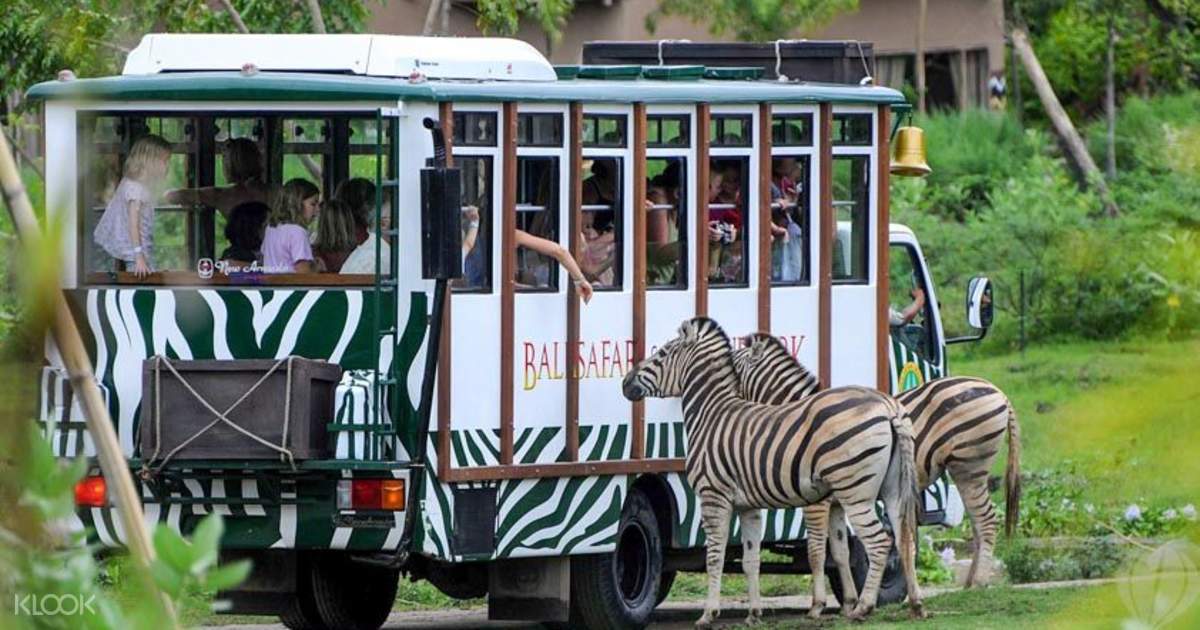 Bali Safari and Marine Park - Klook