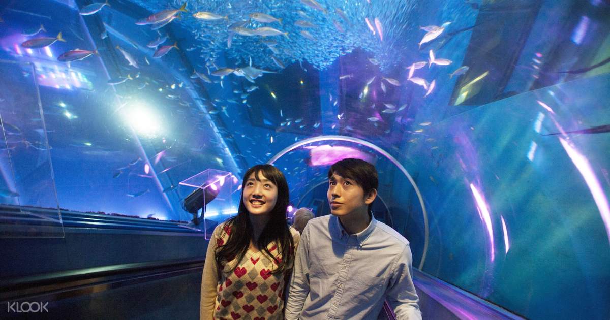 横浜 八景島シーパラダイス チケットの予約 Klook クルック