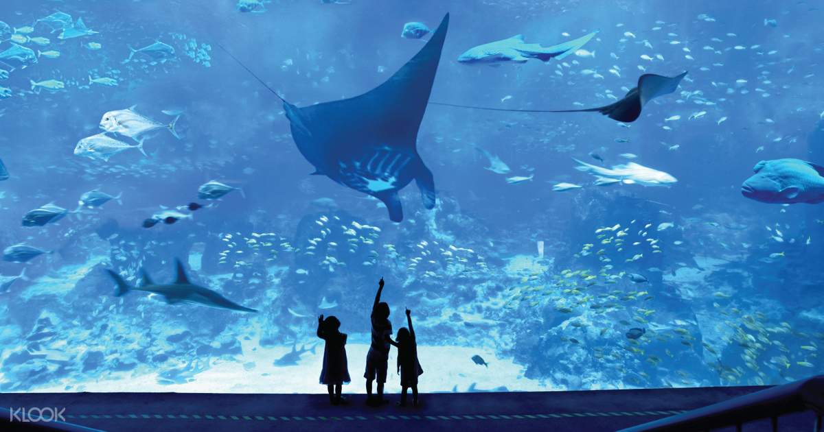 Book SEA Aquarium, Sentosa, Singapore Ticket Online - SEAAquarium%E2%84%A2One DayTicket