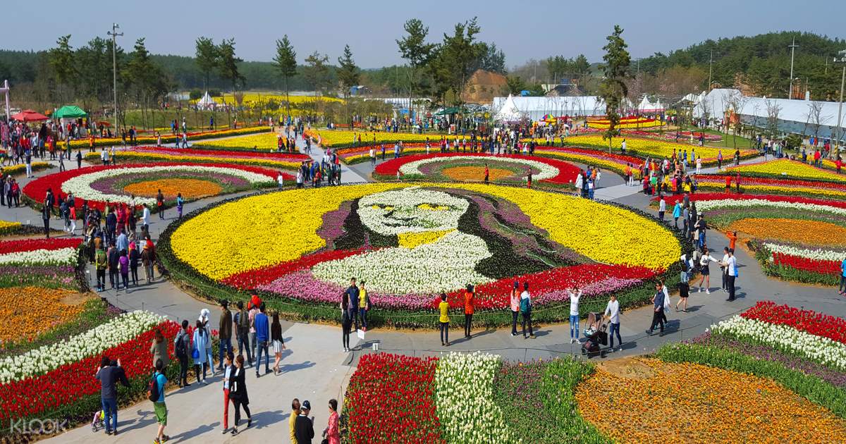 Buy Taean Tulip Festival & Strawberry Picking Tour Package Klook