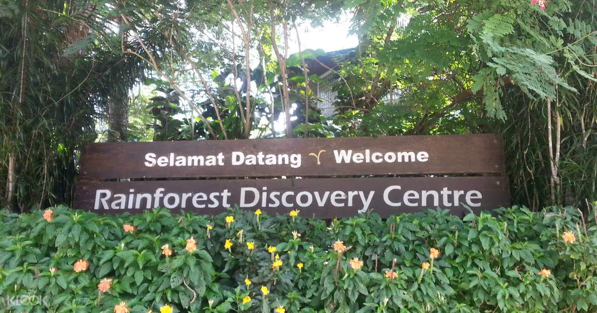 Orang Utan Proboscis Monkey Sun Bear Rainforest Discovery Tour From Sandakan Klook Us