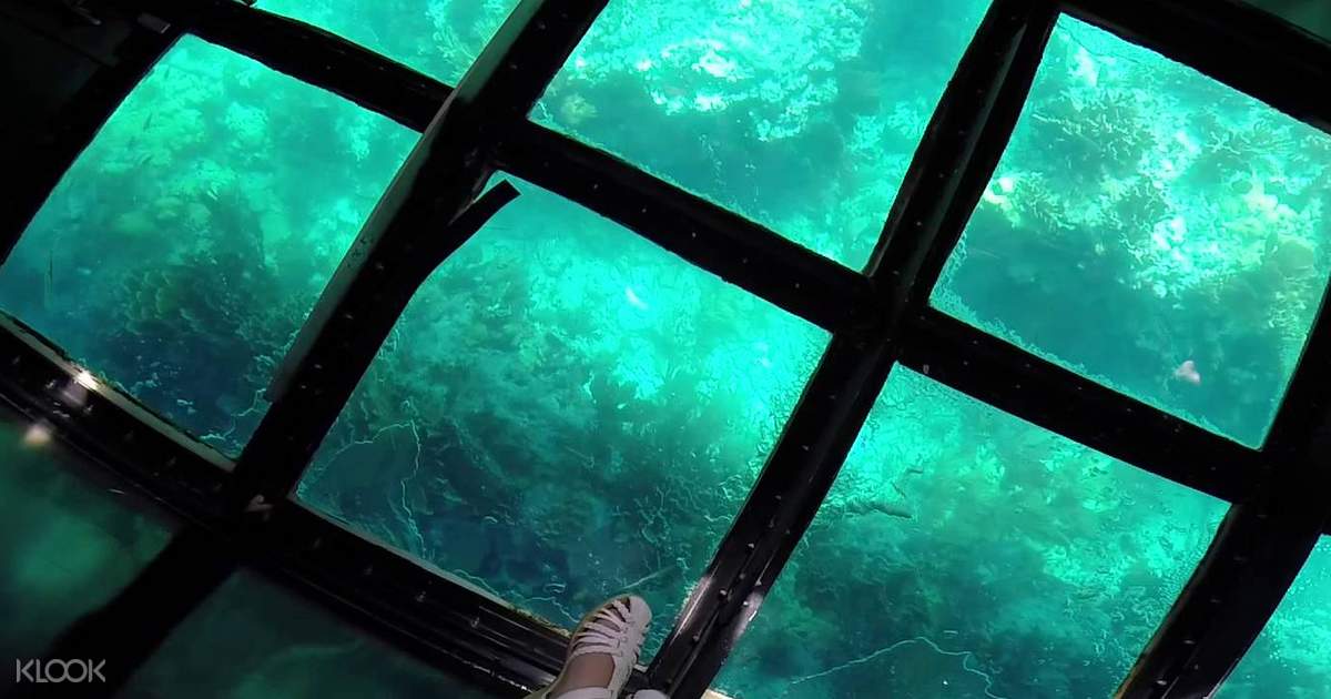 Hawaii Waikoloa GlassBottom Boat Cruise