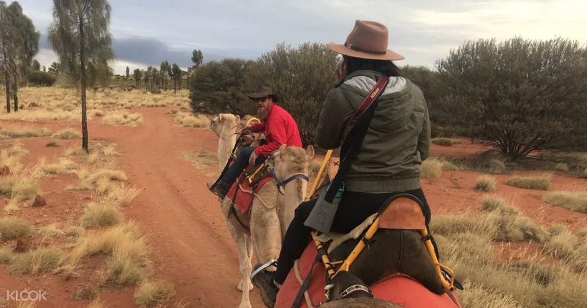 Sunrise Or Sunset Camel Ride Experience Uluru And Alice Springs Australia