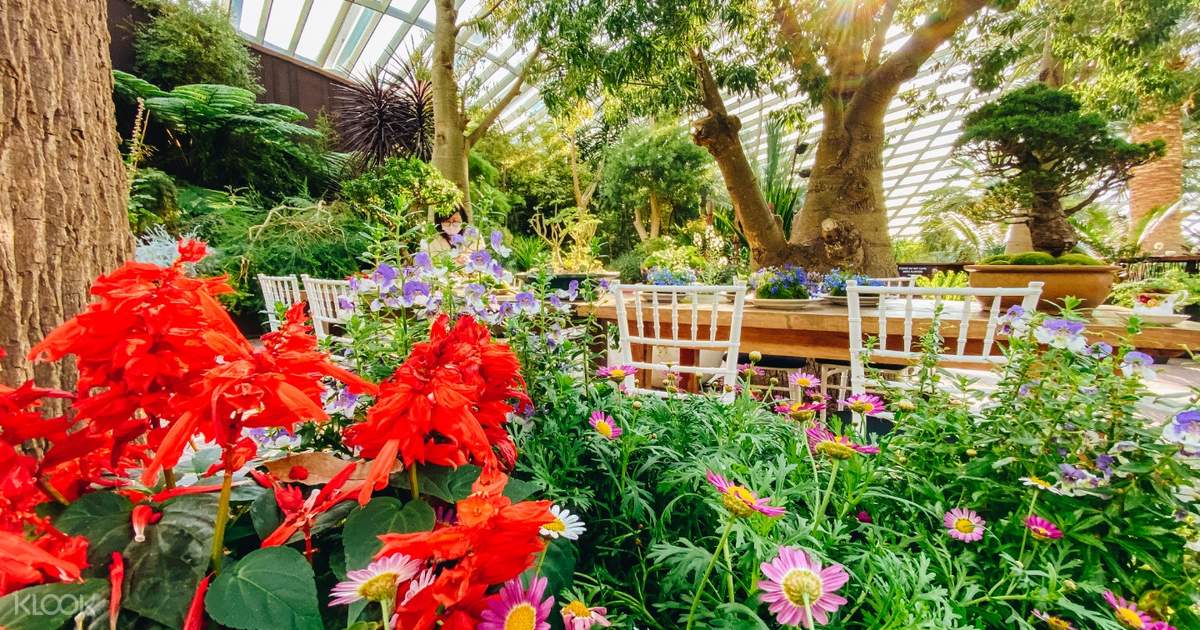Up To 25 Off Singapore Gardens By The Bay Tickets Cloud Forest Flower Dome Klook India