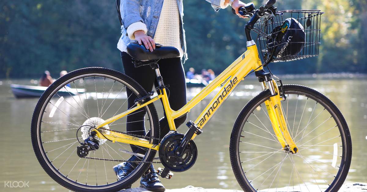 central park bike rental full day