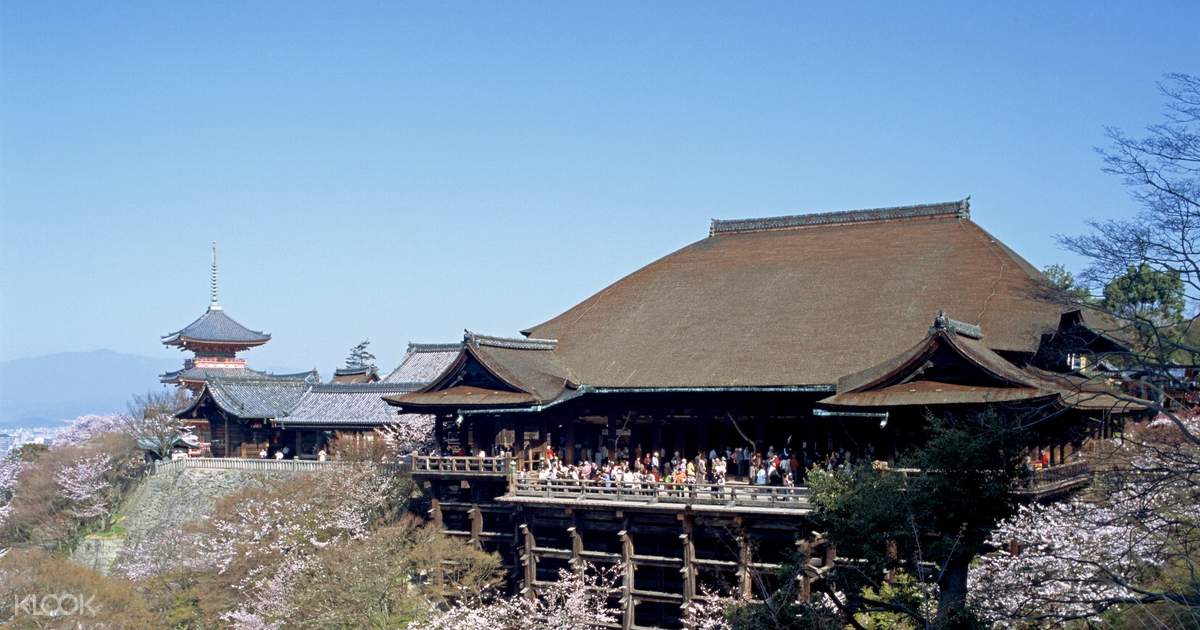 日本奈良东大寺 奈良公园 兴福寺 清水寺 高台寺 八坂神社 祇园一日遊 京都出发 Klook客路中国