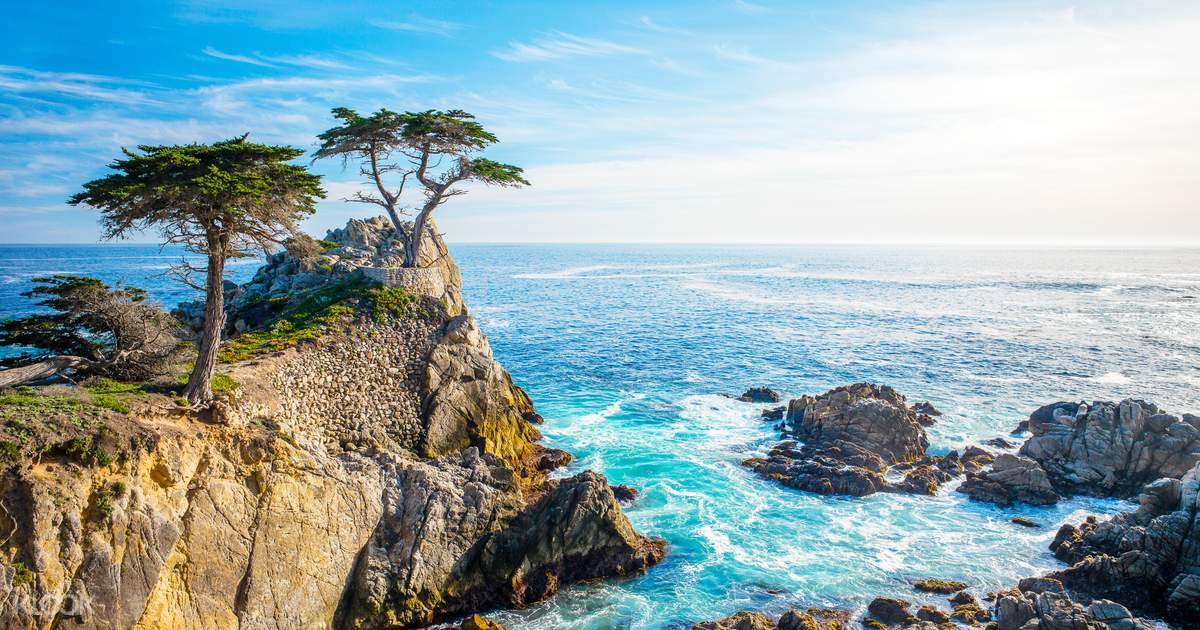 Monterey Carmel And The 17 Mile Drive Full Day Tour From San Francisco Klook Uk