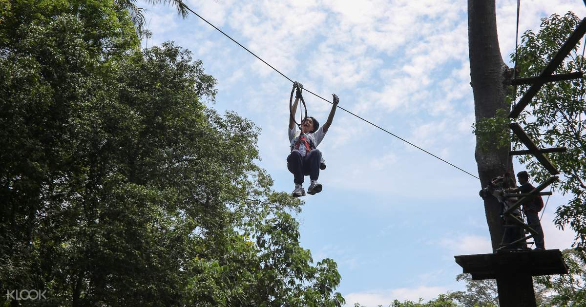 Skytrex Adventure In Langkawi Malaysia Klook Uk
