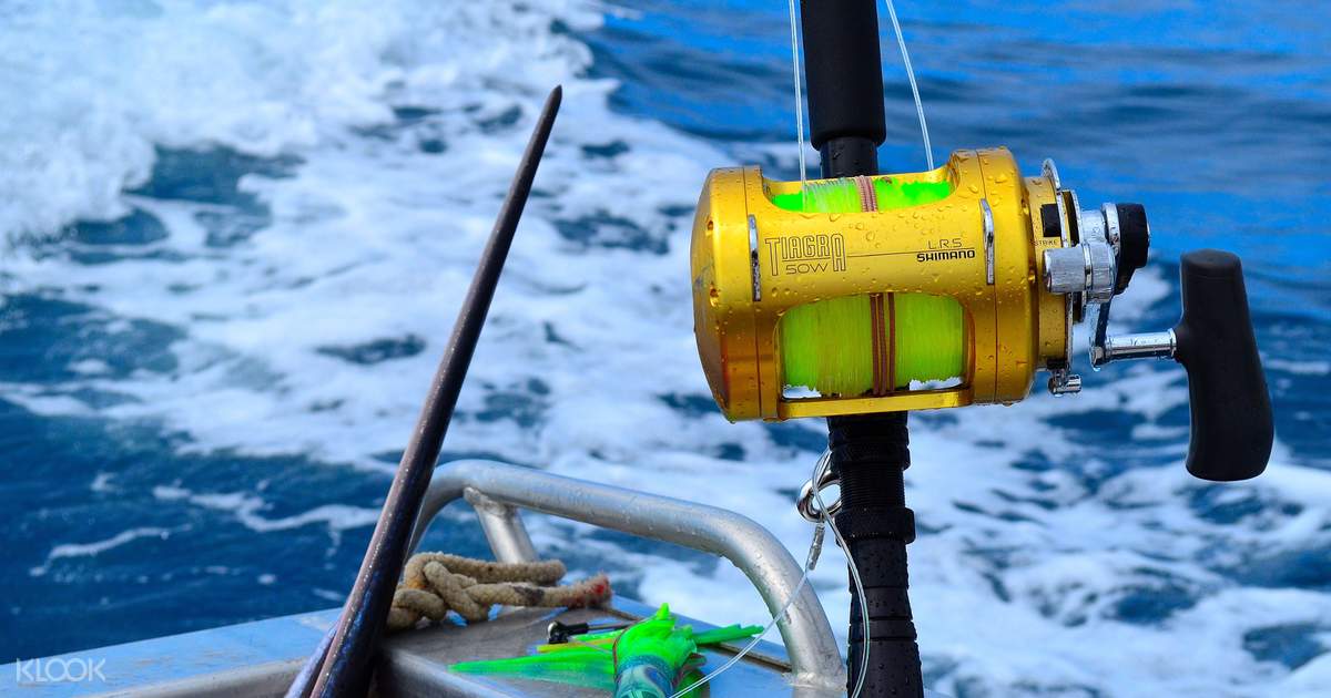 Angelrute köderfisch Clearance