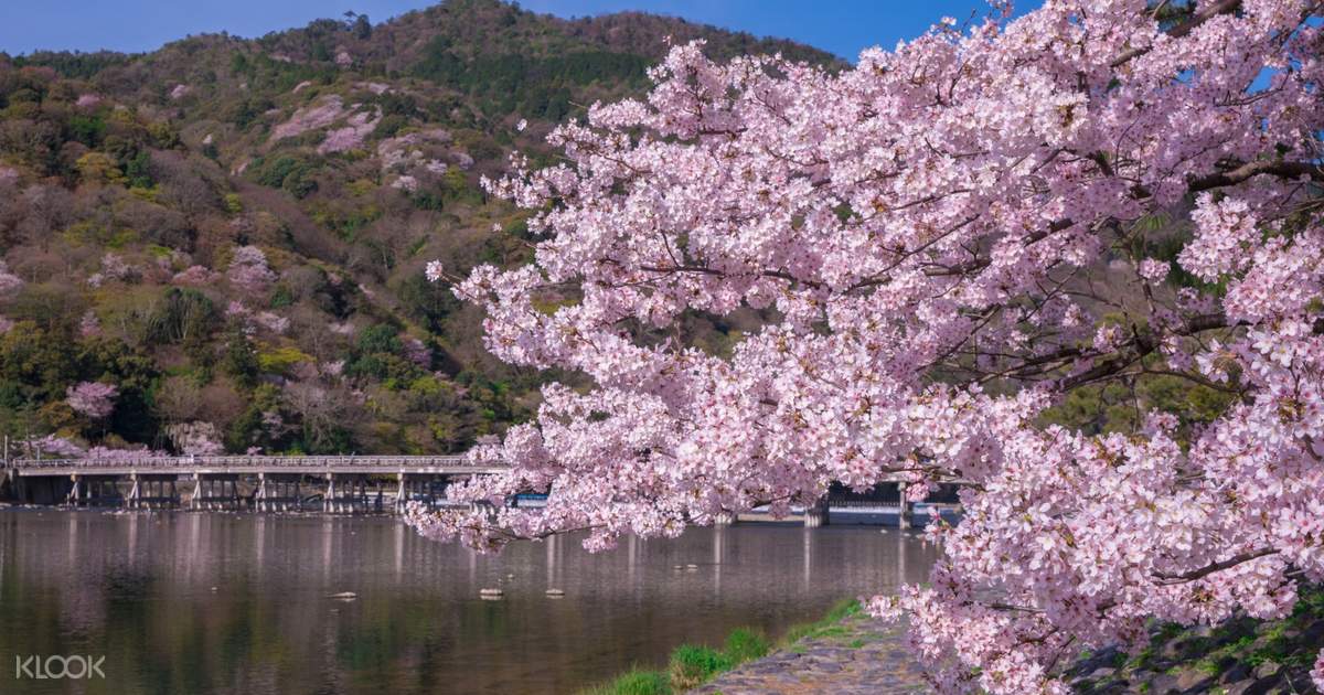 京都岚山小火车 岚山 清水寺 伏见稻荷大社一日游 Klook客路中国