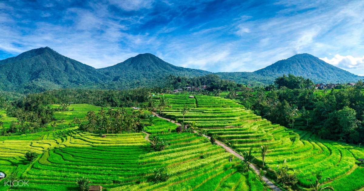 자띨루위 계단식 논 자전거 투어