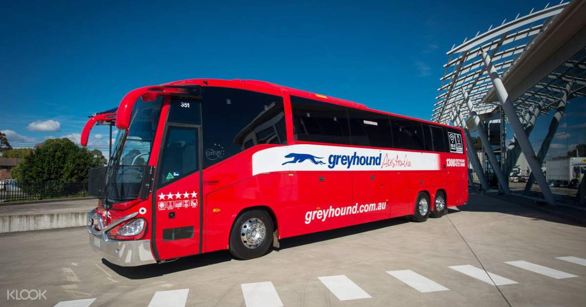 Greyhound Australia Whimit Coach Pass From Brisbane Australia Klook Australia