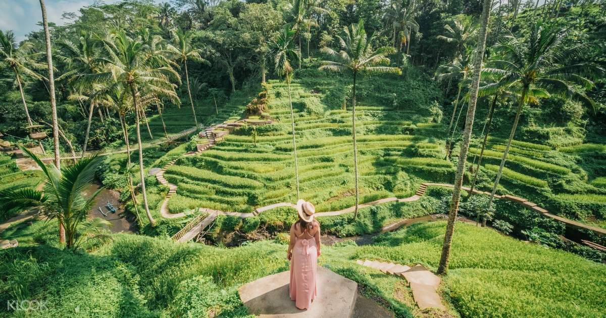 Alas Harum Swing in Tegalalang Ubud, Indonesia - Klook Canada