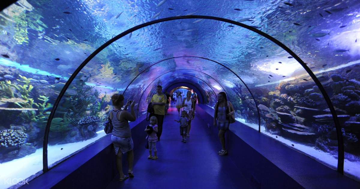 Tiket Antalya Aquarium Dengan Transportasi Hotel