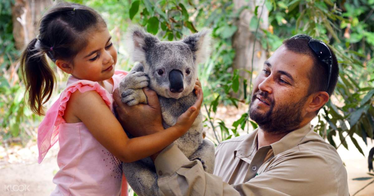 Currumbin Wildlife Sanctuary Klook