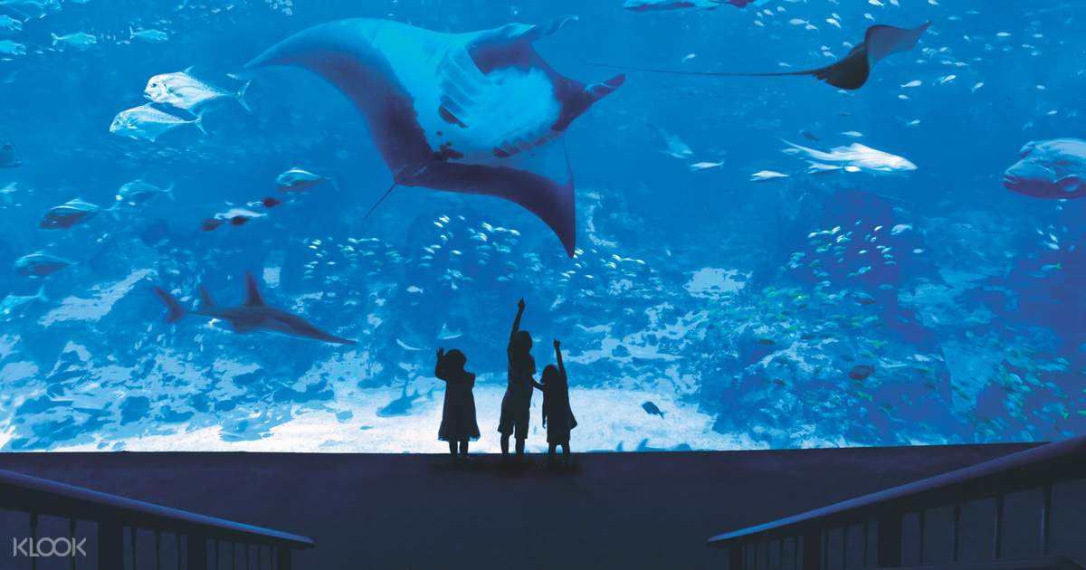S.E.A. Aquarium Ticket Sentosa, Singapore - SEAAquariumTicketSentosa,Singapore