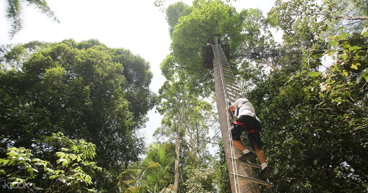 Skytrex Adventure In Langkawi Malaysia Klook Uk