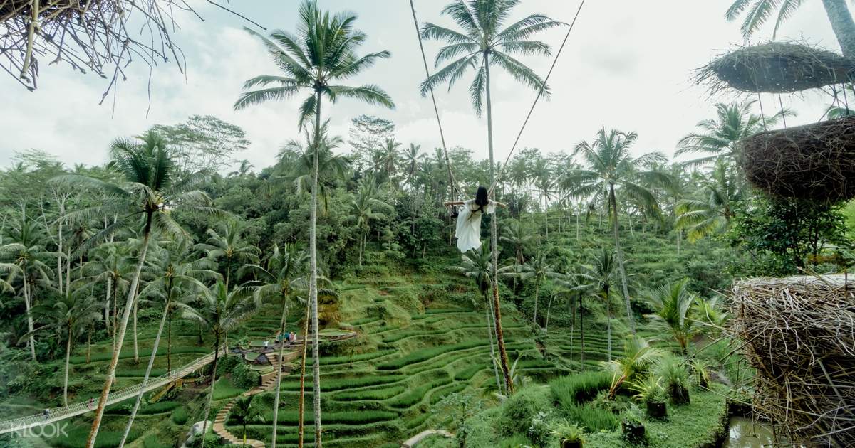 Up to 20% Off | Alas Harum Swing in Tegalalang Ubud ...
