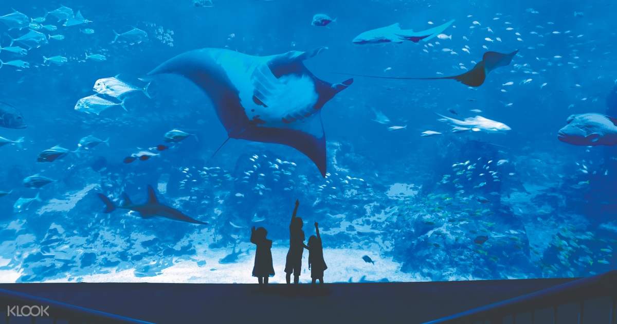 Diskon Eksklusif Klook Paket Combo Tiket S.E.A. Aquarium ...