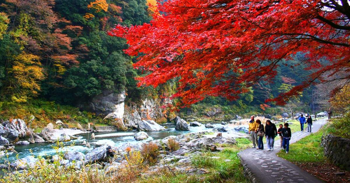 秋季限定日本美景 东京奥多摩赏枫 山梨县水果摘采体验 Klook客路中国 秋季限定日本美景 东京奥多摩赏枫 山梨县水果摘采体验 Klook客路中国