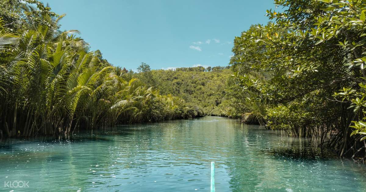 Cebu Bojo River Eco-Cultural Cruise