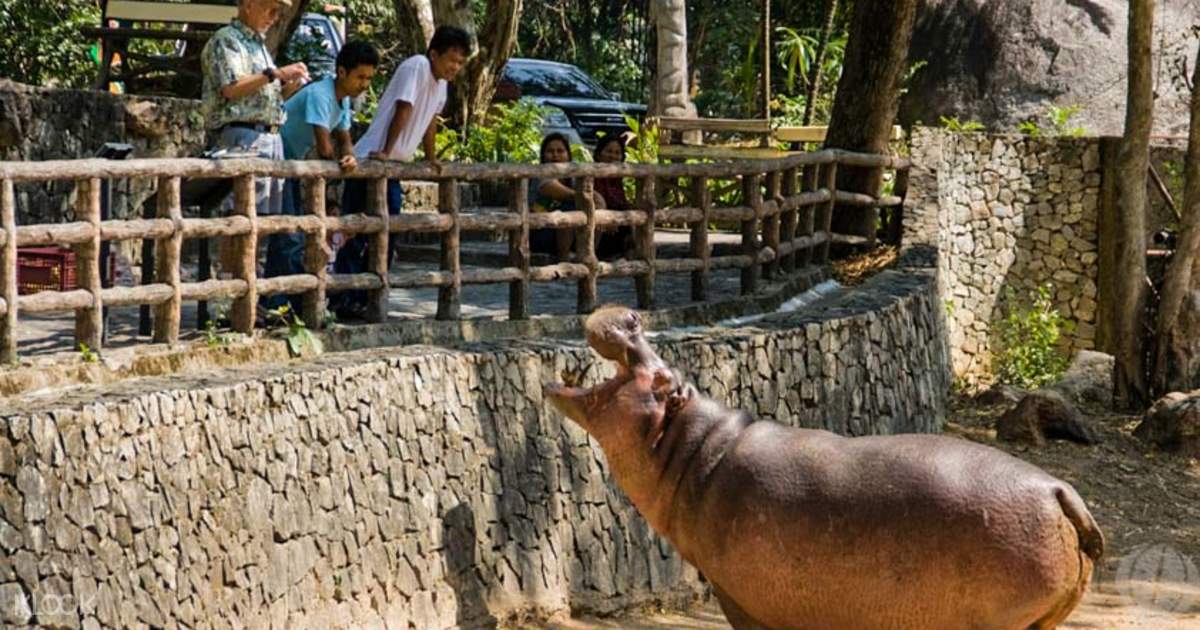 Khao Kheow Open Zoo - Klook