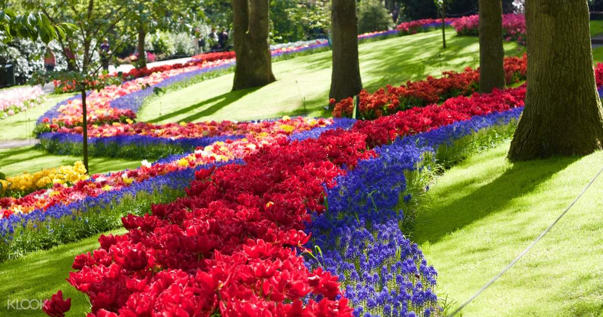 Keukenhof Gardens Fast Track Entry Ticket with Round Trip 