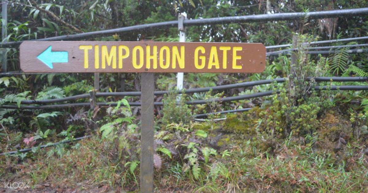2d1n Mount Kinabalu Summit Tour Di Sabah Malaysia