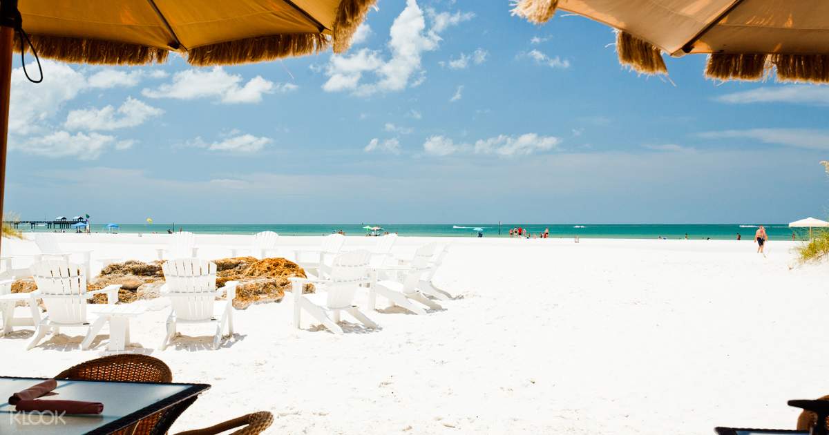 Dolphin Encounter Boat Ride In Clearwater Beach