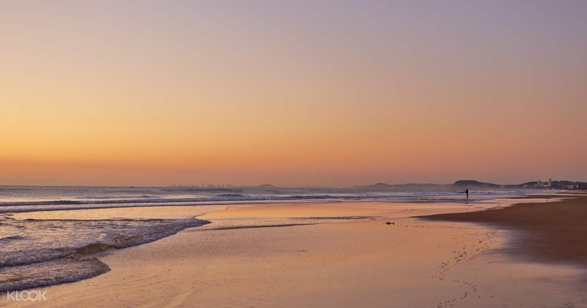 Stand Up Paddle Boarding Experience In Gold Coast Klook Us