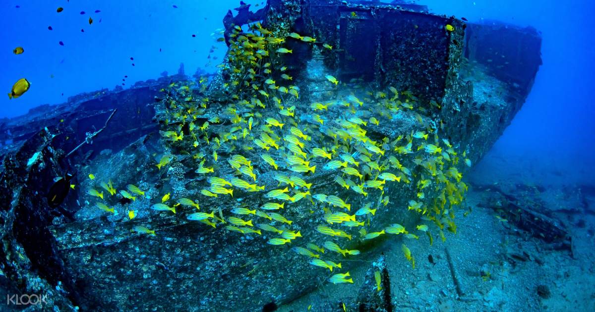 夏威夷亚特兰提斯潜水艇观光Atlantis Submarines - Klook客路 中国