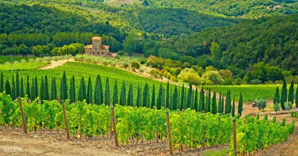 Vespa Tour Tuscan Countryside - Klook