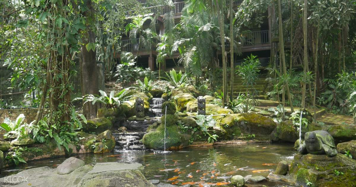 Tiket Masuk Taman Burung Kl Dengan Layanan Transportasi Satu Arah Di Kuala Lumpur