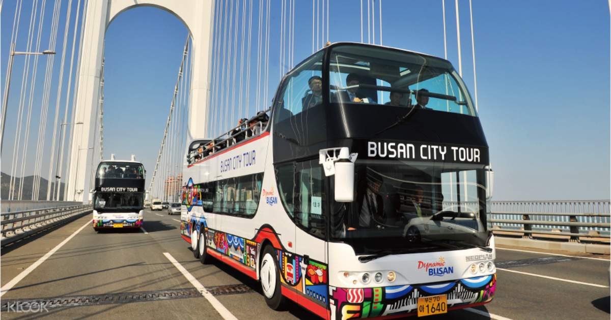 Florida shuttle transportation coupon Florida Shuttle Transportation Coupon Code | 25% OFF 25% off Get Deal We have 5 kolibri.ml Coupon Codes as of November Grab a free coupons and save money. The Latest Deal is Florida Shuttle Transportation Items Up To 25% Off + Free P&P.