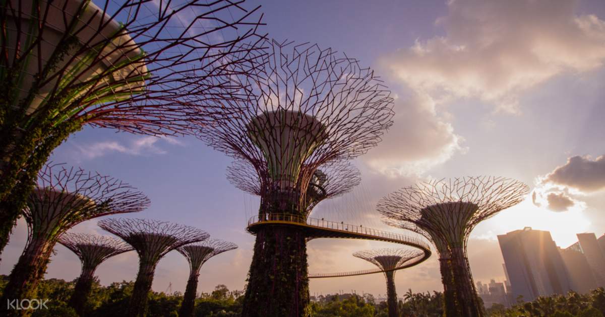 Gardens By The Bay And Ocbc Skyway Tickets Klook Philippines Gardens By The Bay And Ocbc Skyway Tickets Klook Philippines