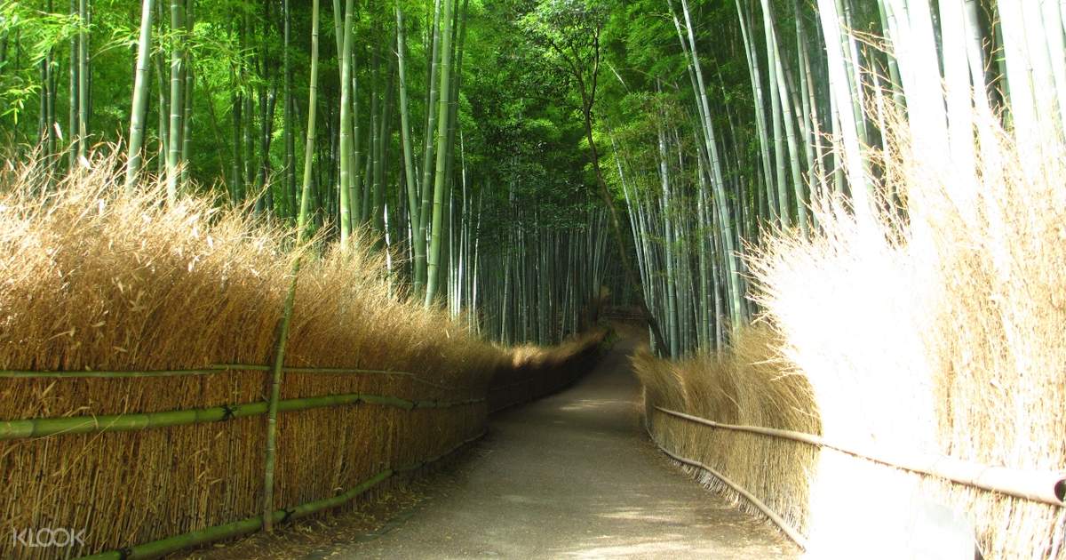 Arashiyama Kinkakuji Temple And Fushimi Inari Shrine Whole Day Tour In Kyoto Japan Arashiyama Kinkakuji Temple And Fushimi Inari Shrine Whole Day Tour In Kyoto Japan