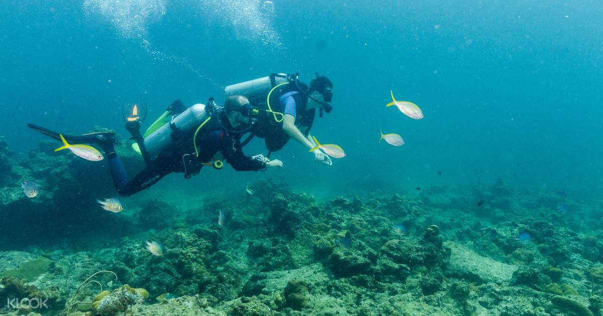 Discover Scuba Diving Course In Koh Phi Phi Thailand