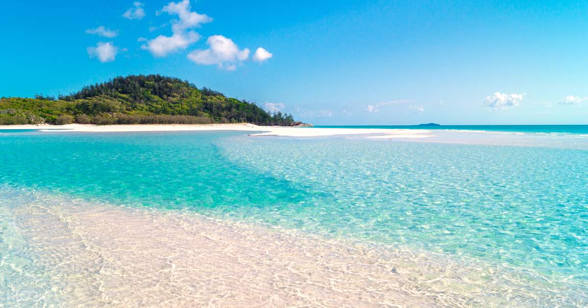 Whitsunday Islands and Whitehaven Beach Half Day Cruise ...