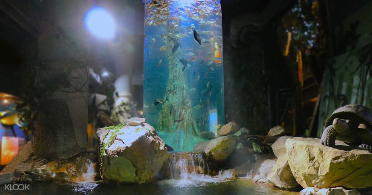 Buy Aquaria Klcc Kuala Lumpur Ticket Online Klook New Zealand