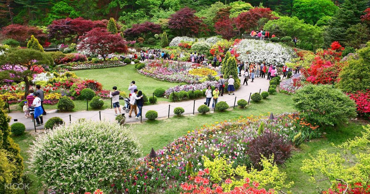 Nami Island Amp The Garden Of Morning Calm Day Tour Gangwon