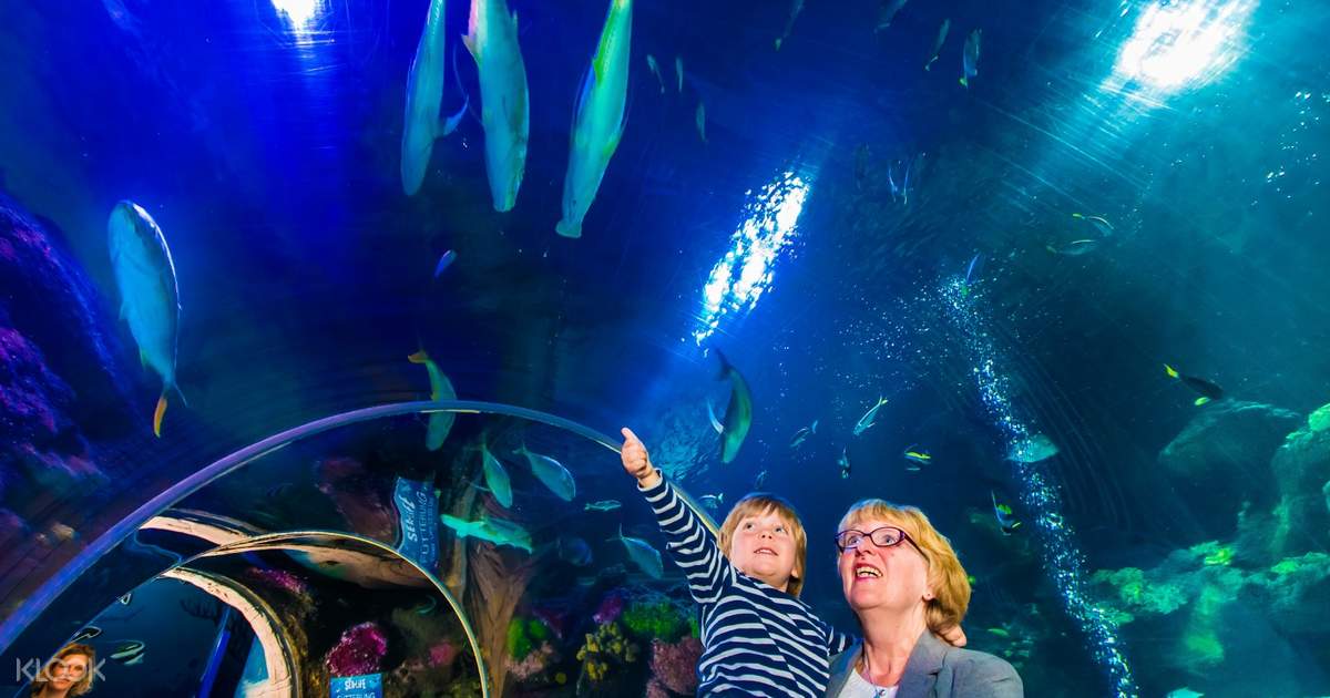 Buy Legoland, Johor Bahru Malaysia Ticket Online