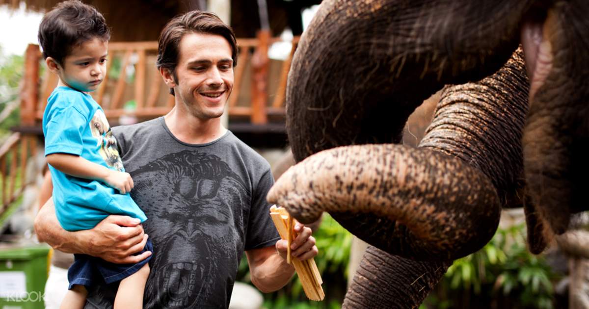 Bali Zoo Discount Tickets - Klook India