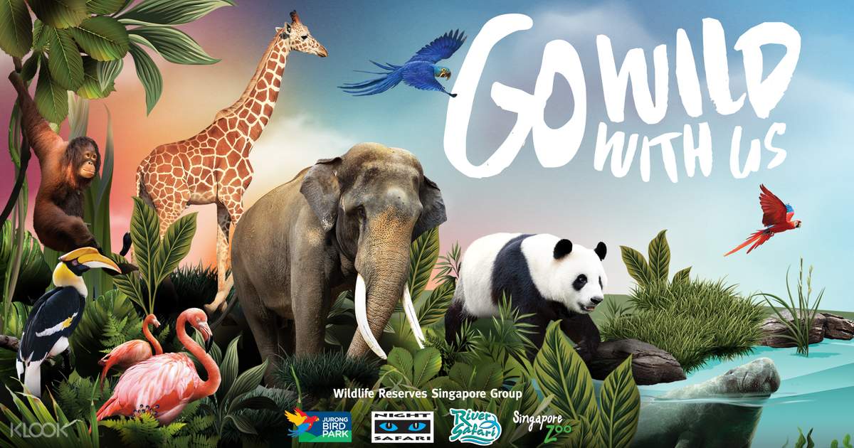 Buy Singapore Zoo Tickets Online World Famous Open Concept Zoo