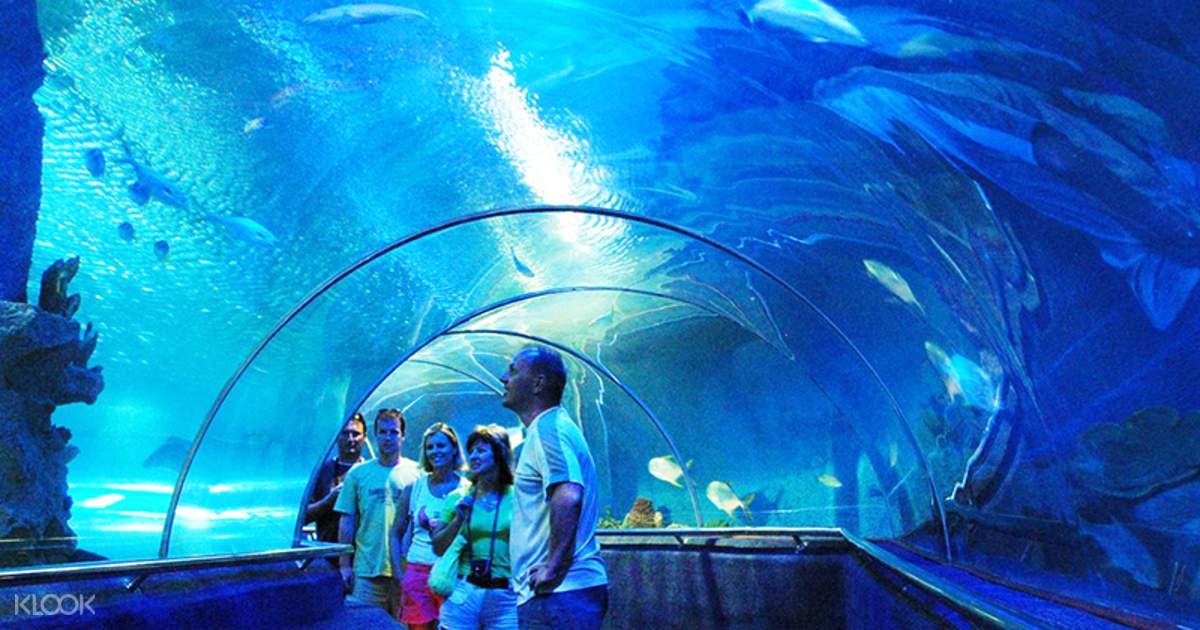 Tri Nguyen Aquarium  Mot Island Vung Ngan Island Con Se 