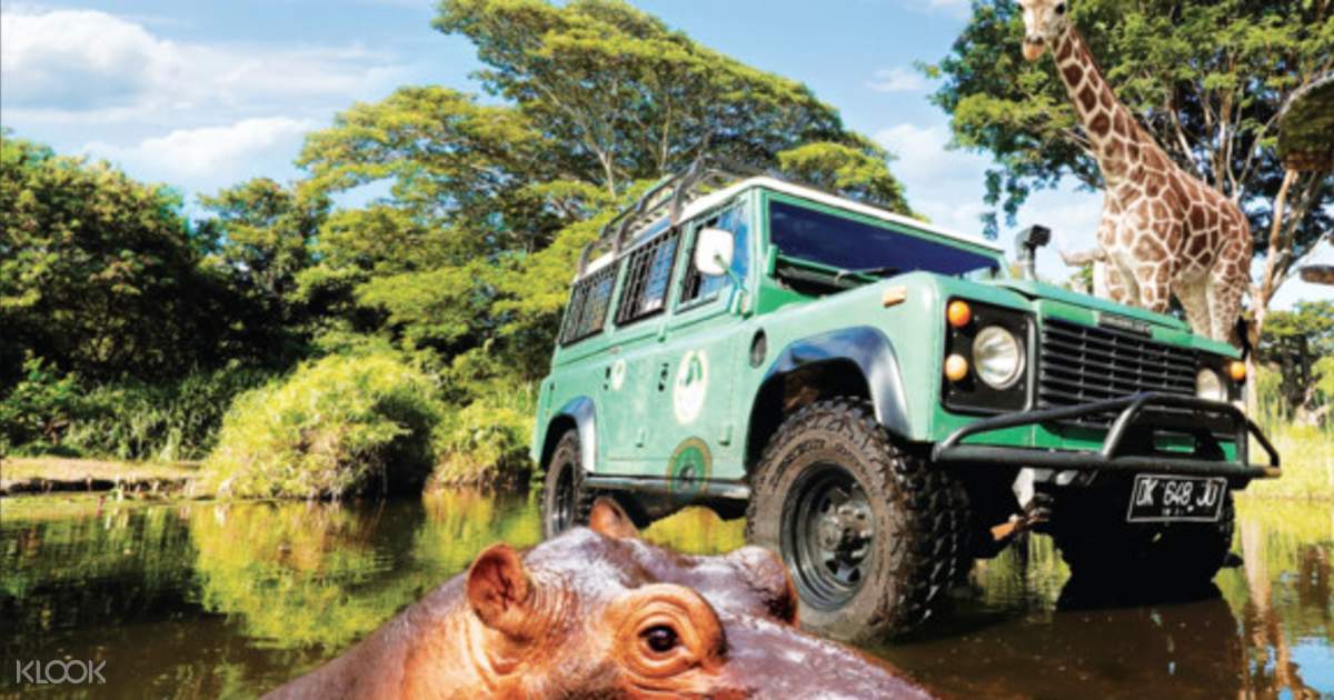 Book Bali Safari and Marine Park Tour
